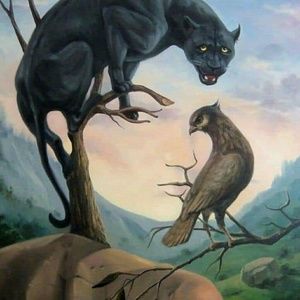 Meet your Posher, Travis